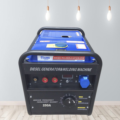DC 2 kw 250 Amp 디젤 용접공 195FE 엔진 전기 시작 영구 자석