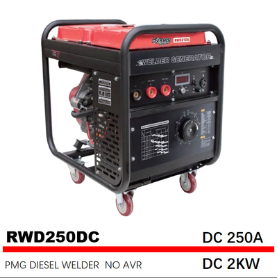 DC 2 kw 250 Amp 디젤 용접공 195FE 엔진 전기 시작 영구 자석